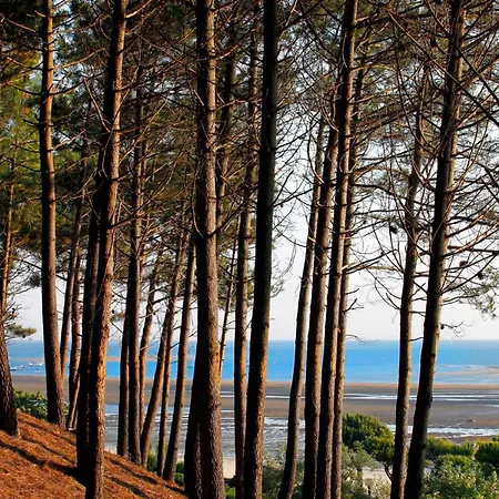 Semesterbostad Arcachon: Basque 4 Chambres, & Commerces A 300m - Fr-1-420-160 *